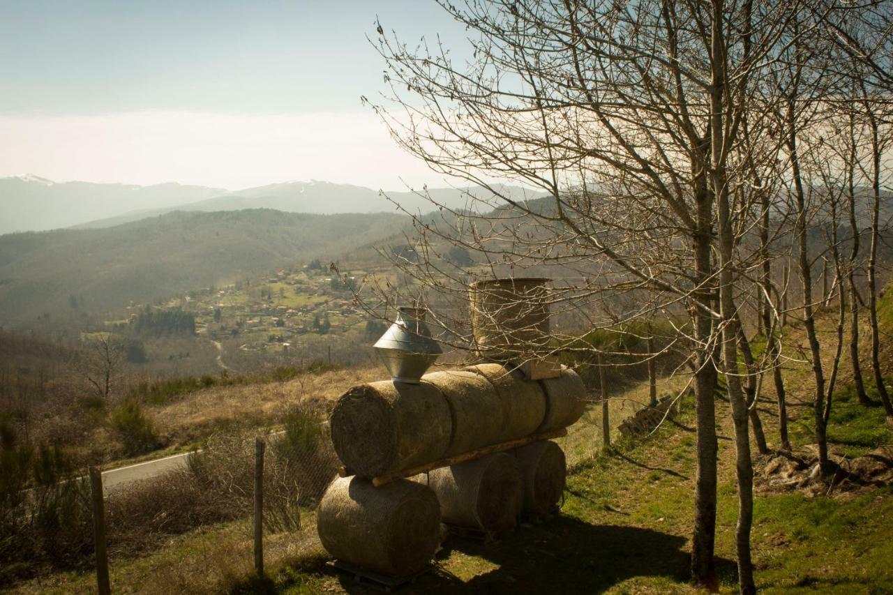 B&B Vista Casentino Pratovecchio Exterior photo