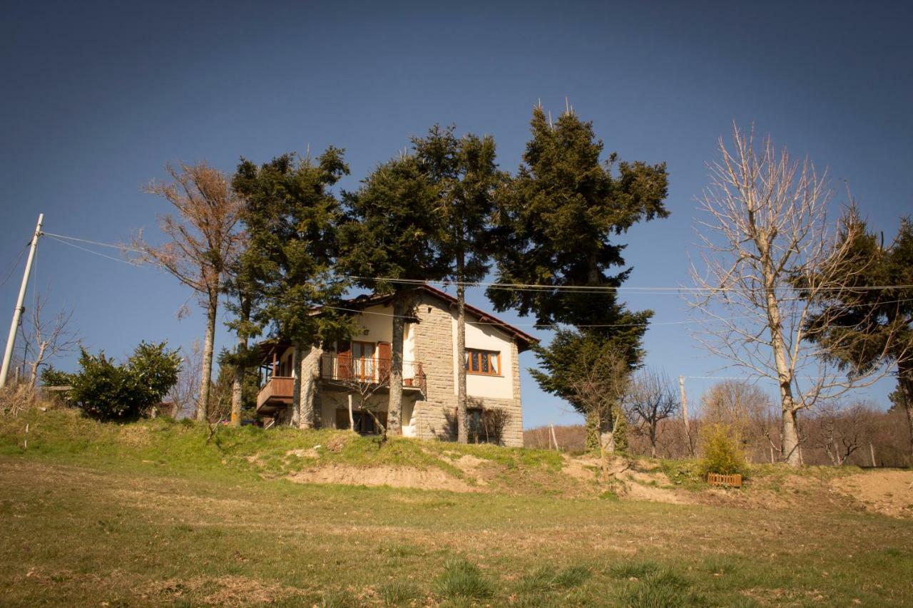 B&B Vista Casentino Pratovecchio Exterior photo