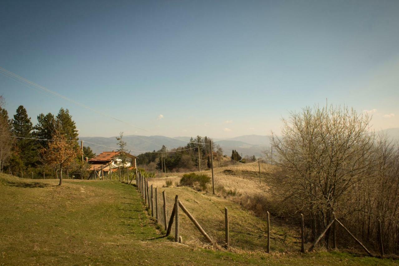 B&B Vista Casentino Pratovecchio Exterior photo